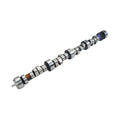 Comp Cams Camshaft for GM LT1 / LT4 350 cid V8 1995-1997