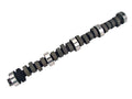Comp Cams FC 292H-10 Street/Strip, Racey Idle